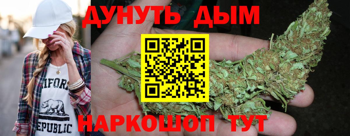 Шишки марихуана сатива Новый Уренгой